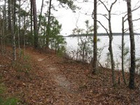 West Dam (Bartram Trail) Mountail Bike Trail